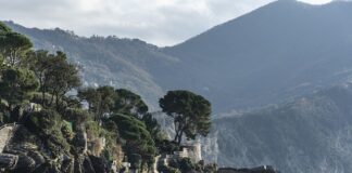 Ile kosztuje drut wiązałkowy?