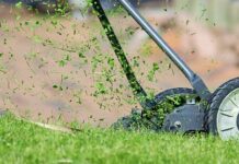 Czy można kosić mokra trawę podkaszarka?
