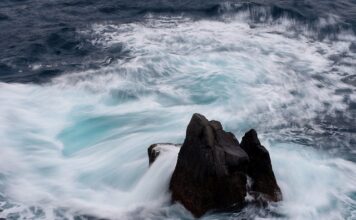 Jaka jest cena jajek z wolnego wybiegu?