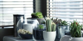 Czy garnki ceramiczne są dobre? Czy garnki ceramiczne są dobre?