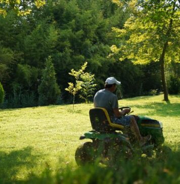 Jak kosiarka traktorek Cedrus i kosa spalinowa ułatwiają pielęgnację dużego ogrodu? kosiarka traktorek